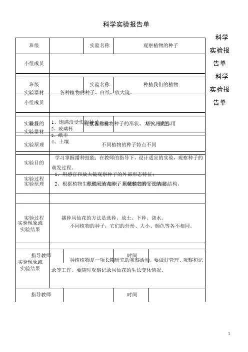 教科版三年级下册科学实验报告单