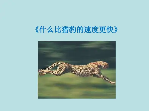 六年级下册语文课件 - (说明文学习) (共20张PPT) 全国通用