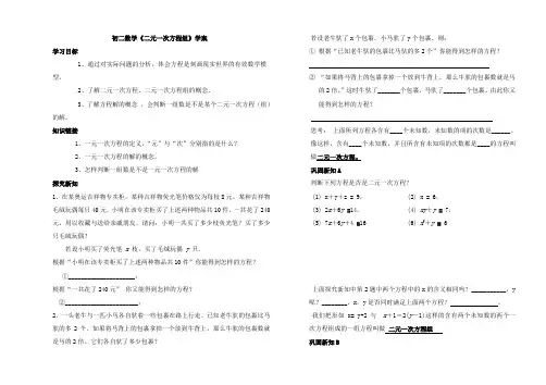 二元一次方程组学案