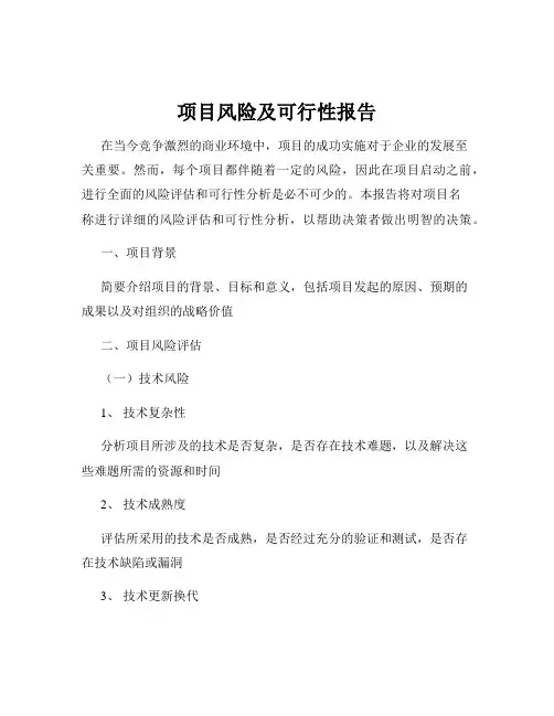 项目风险及可行性报告