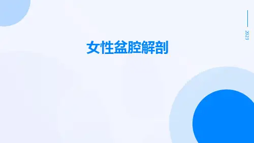 (医学课件)女性盆腔解剖