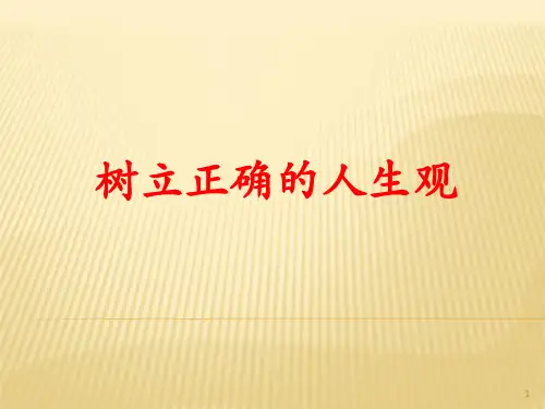 正确人生观ppt课件
