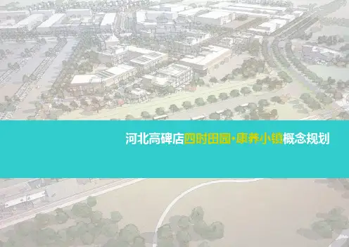 高碑店四时田园康养小镇概念规划全