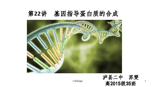 一轮复习公开课基因指导蛋白质的合成(课时1)ppt课件