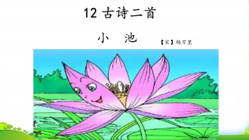 人教版部编版一年级下册语文课件-12 古诗二首 小池 (19张)