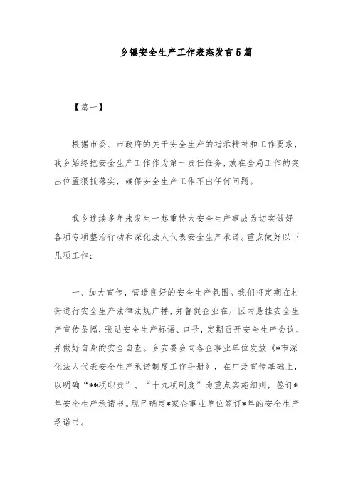 乡镇安全生产工作表态发言5篇