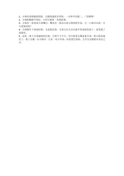 关于小狗的句子