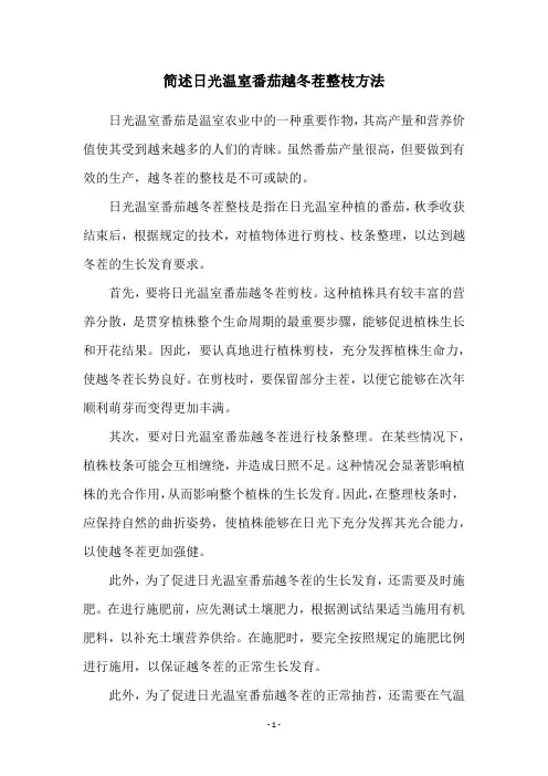 简述日光温室番茄越冬茬整枝方法