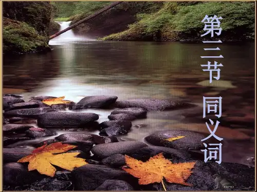 语言学纲要 同义词反义词