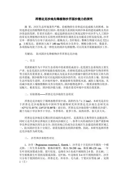 浑善达克沙地先锋植物沙芥固沙能力的探究