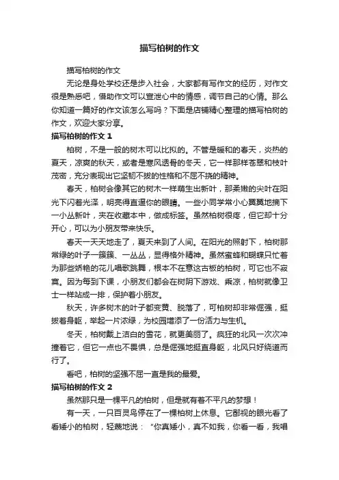 描写柏树的作文