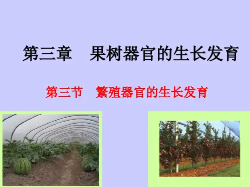 第三章 果树器官生长发育之开花、坐果