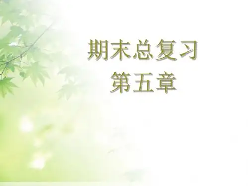 新人教版七年级初一数学下册新人教版_七年级下册_第五章复习课件