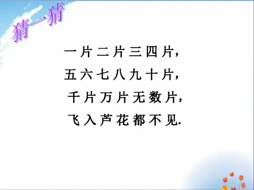 下雪了(作文指导)优秀课件PPT