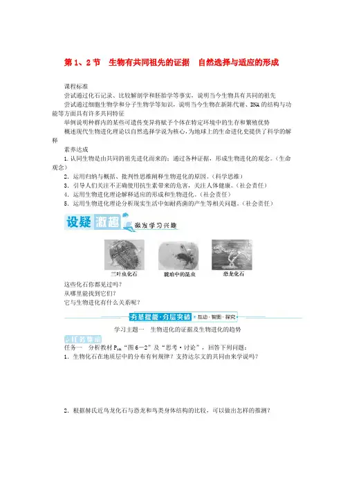 2024版新教材高中生物第6章生物的进化第1节生物有共同祖先的证据第2节自然选择与适应的形成学生用书