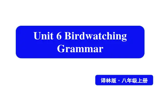 牛津译林版版英语八年级上册 Unit 6   Birdwatching  Grammar 课件