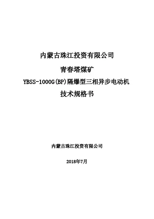 YBSS-1000G(BP)电机技术规格书