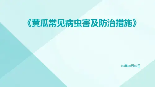 黄瓜常见病虫害及防治措施