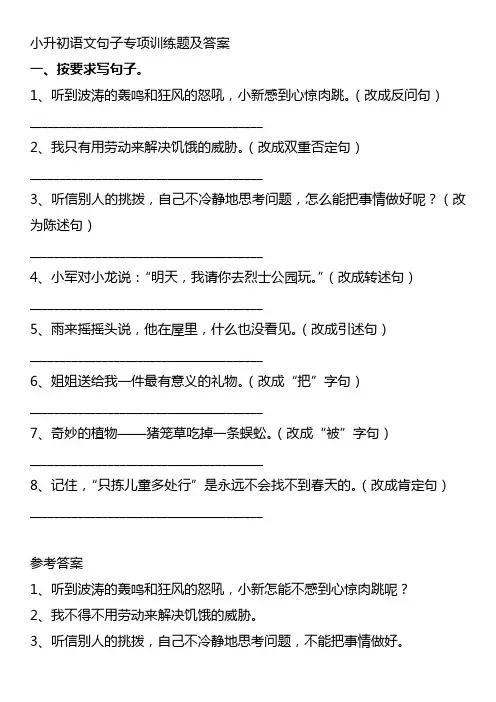 小升初语文句子专项训练题及答案