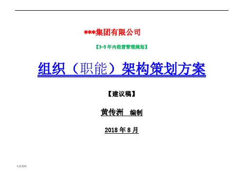 集团公司组织架构策划实施计划方案AA