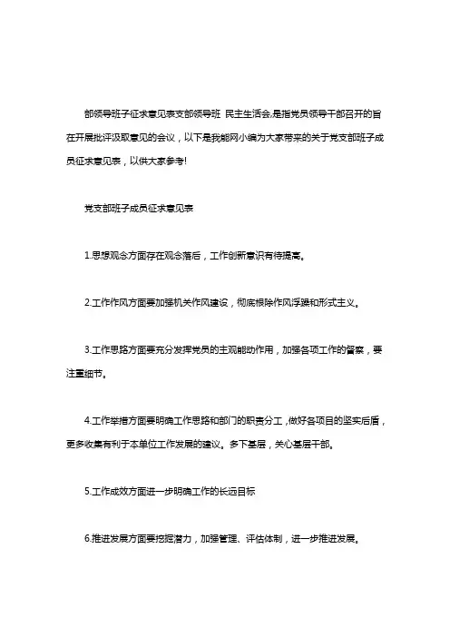 党支部班子成员征求意见表word版