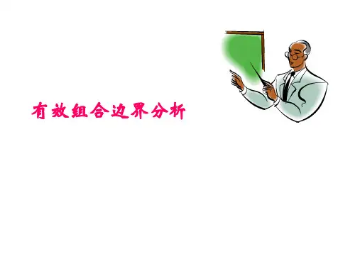 有效组合边界分析