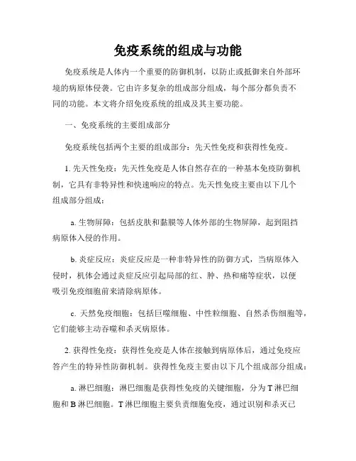 免疫系统的组成与功能
