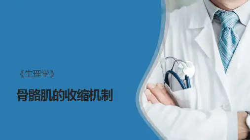 骨骼肌细胞的收缩功能(生理学课件)