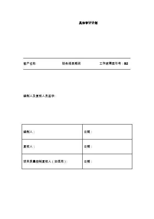 具体审计计划模板