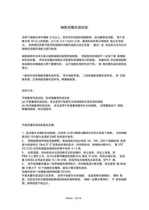 细胞克隆形成实验