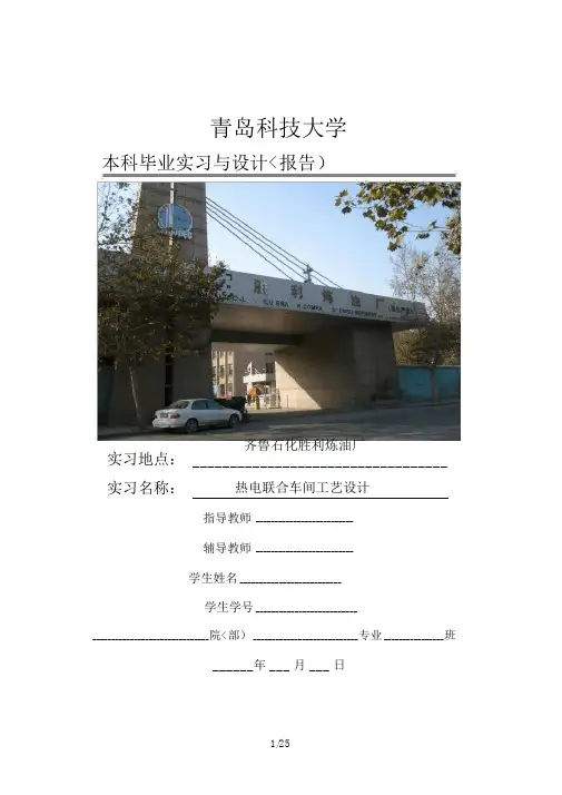 (化工)毕业设计实习报告