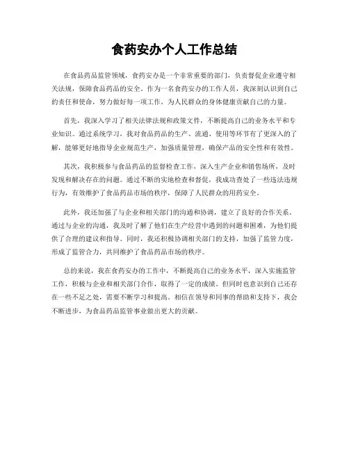 食药安办个人工作总结