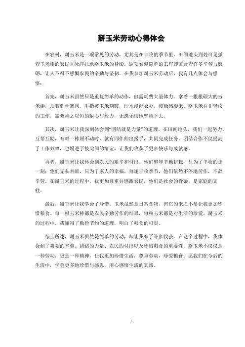 掰玉米劳动心得体会