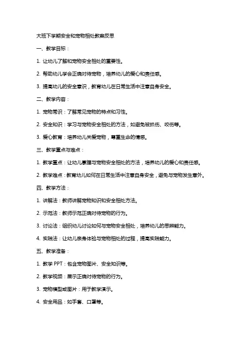 大班下学期安全和宠物相处教案反思