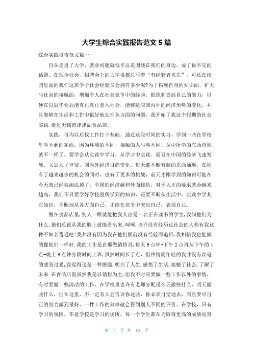 大学生综合实践报告范文5篇