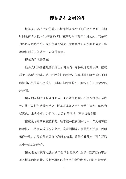 樱花是什么树的花