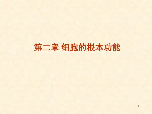 生理细胞的基本功能ppt课件