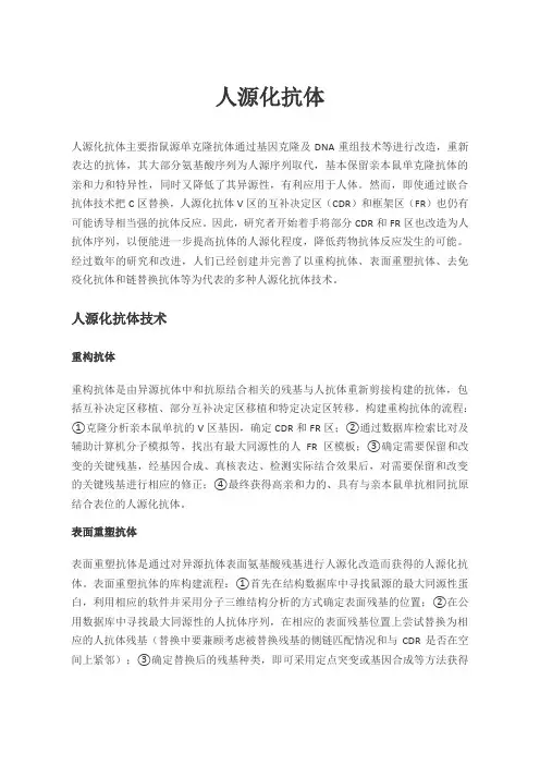 人源化抗体