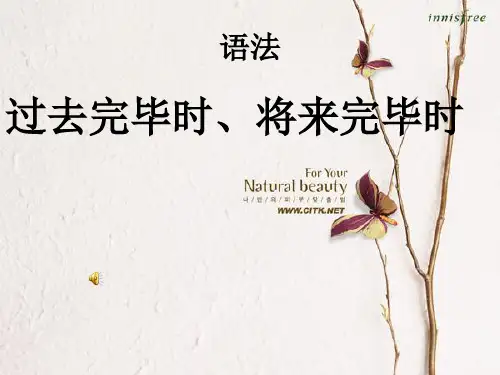 过去、将来完成时
