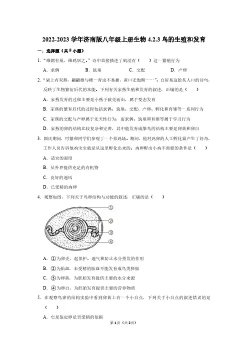 2022-2023学年济南版八年级上册生物同步练习4.2.3鸟的生殖和发育