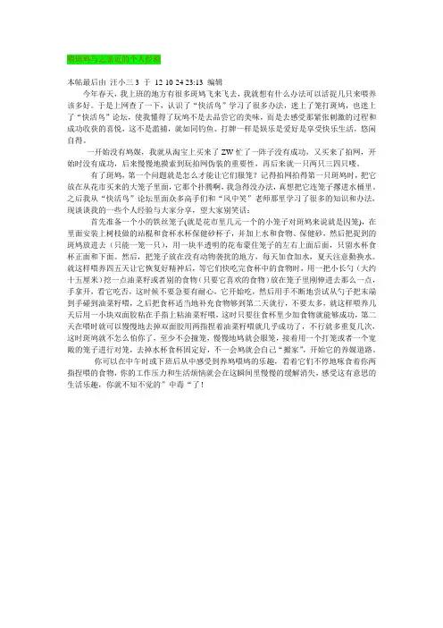 喂斑鸠与之亲近的个人经验