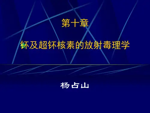 第十章  钚
