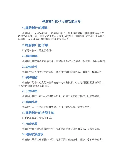 樟脑树叶的作用和功能主治