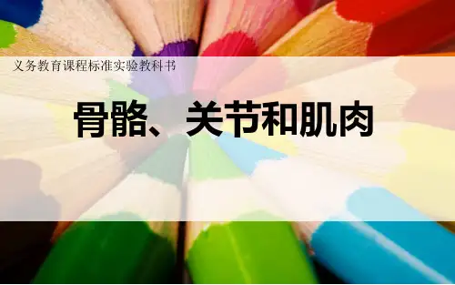 四年级上册科学课件- 4.2 骨骼、关节和肌肉｜教科版 (共24张PPT)