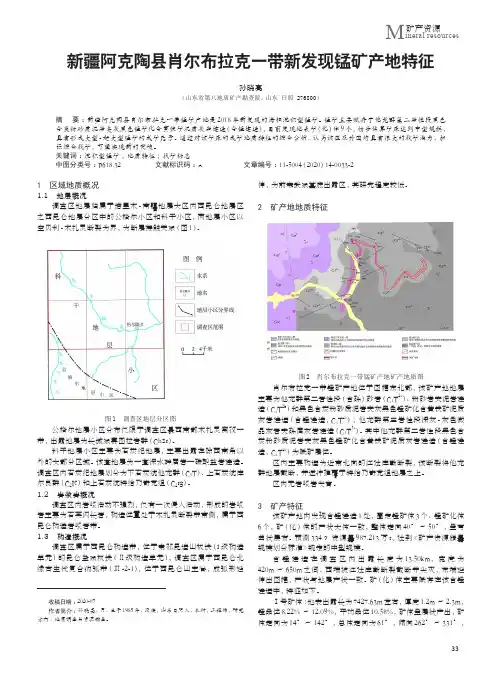 新疆阿克陶县肖尔布拉克一带新发现锰矿产地特征