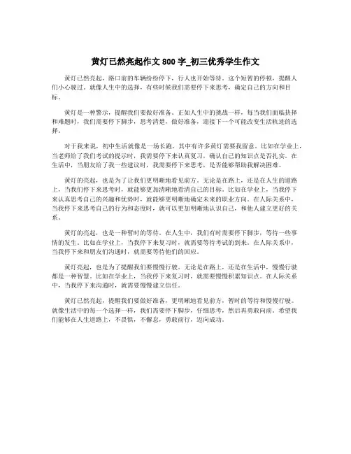 黄灯已然亮起作文800字_初三优秀学生作文