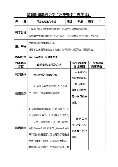 牙齿的构造与功能