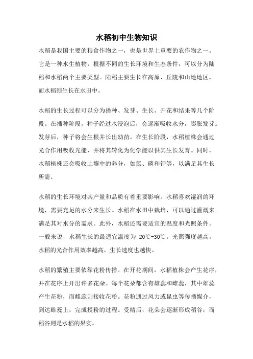 水稻初中生物知识