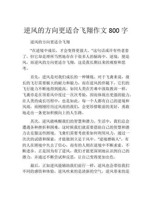 逆风的方向更适合飞翔作文800字