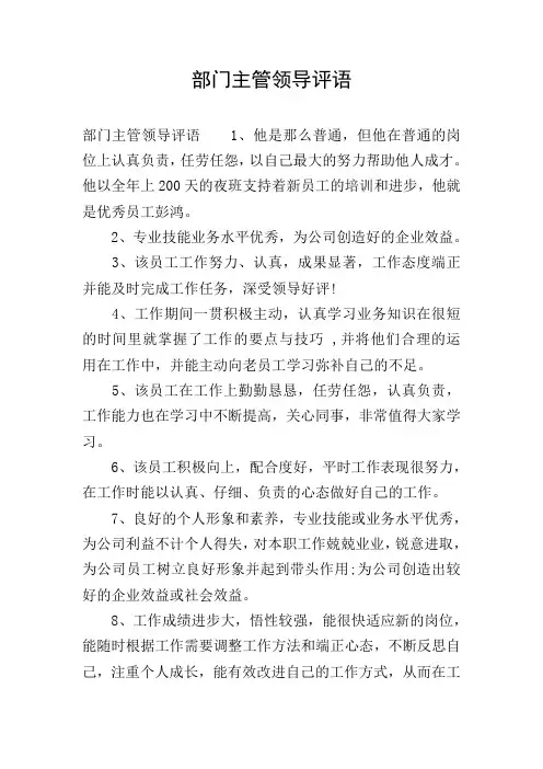 部门主管领导评语